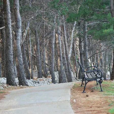 The Rozolina בית הארחה 3*